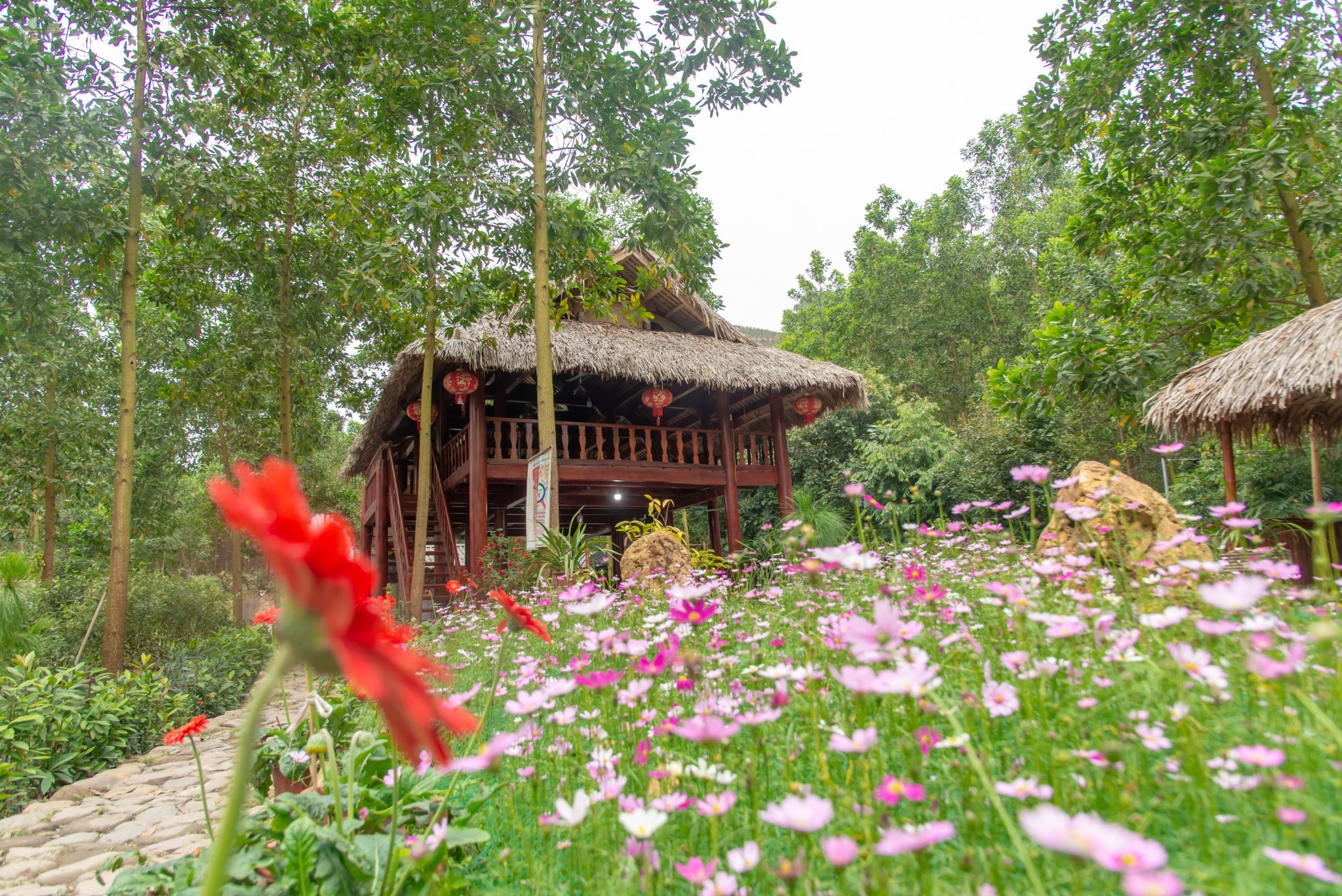 Điểm Du lịch Khe Song - Thác Bạc - Hình 3
