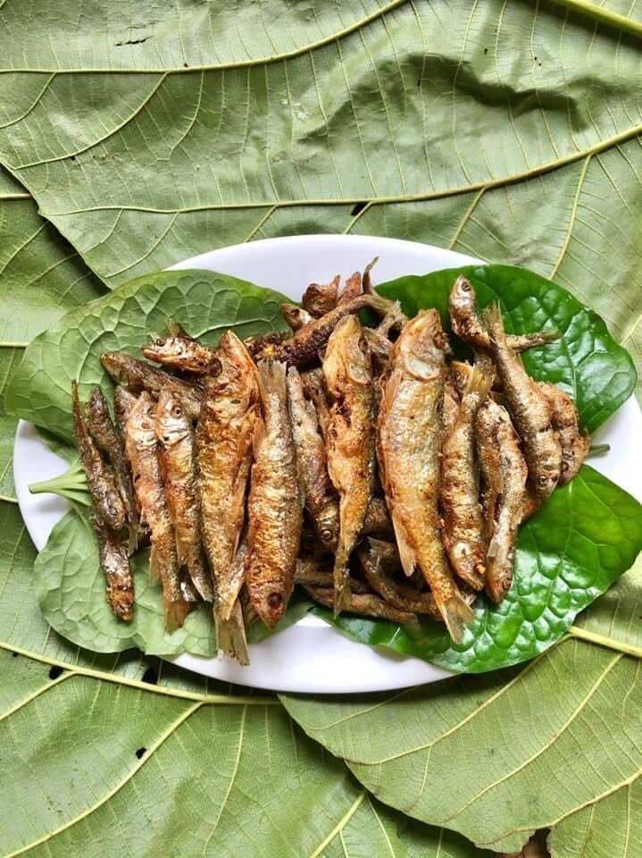 Điểm Du lịch Khe Song - Thác Bạc - Hình 7