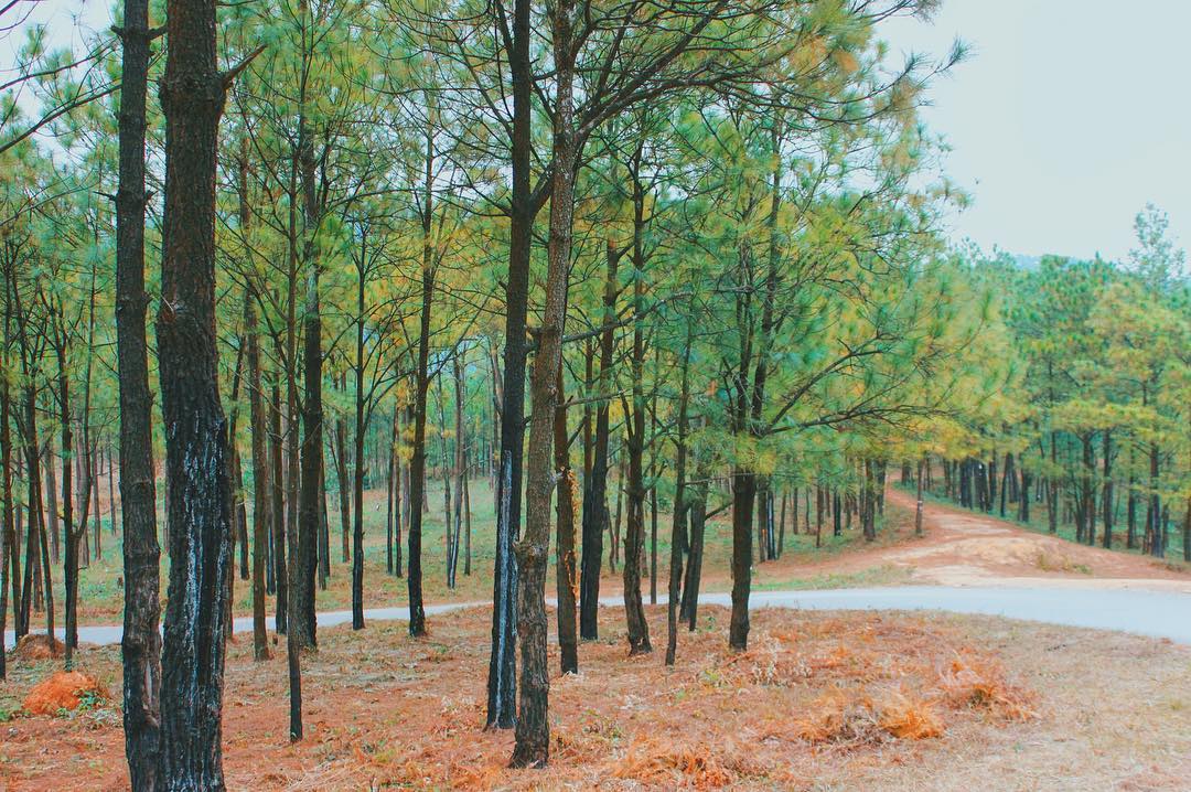 Hồ Yên Trung - Hình 3